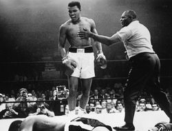 фото - 20 лучших нокаутов Мухаммеда Али: видео