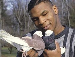 фото - Кадр дня. Майк Тайсон показал архивное фото с главной любовью в жизни