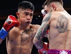 фото - Хулио Сесар Мартинес – Самуэль Кармона: видео лучших моментов боя