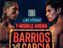 Три титульника и два элиминатора. Как будет выглядеть шоу Барриос – Гарсия — СМИ