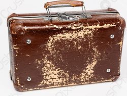 фото - «Махачев будет побит как старый чемодан». Прогноз первого тренера Оливейры