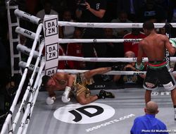 фото - Хэйни и Абдулаев определят обязательного претендента на титул WBC — промоутер