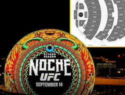 фото - Цены кусаются. Началась продажа билетов на турнир UFC 306