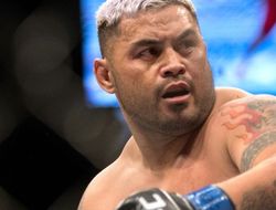 фото - Видео превью UFC 180