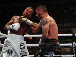 фото - Хэйни-отец: «А где вы все были, когда Линарес усадил Ломаченко на задницу?»