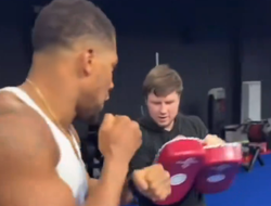 фото - Джошуа готовится к переходу в ММА? AJ отрабатывал кики на тренировке: видео