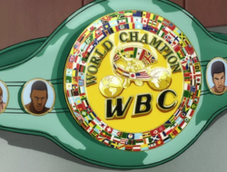 фото - После Иноуэ. Донэйр и Молони должны договориться о бое за титул WBC до 17 февраля