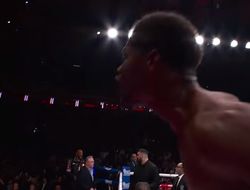 фото - Zuffa придётся раскошелиться! Стивенсон сделал заявление