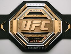 фото - Коллективный иск против UFC. Цена вопроса — 1,6 миллиарда USD