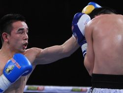 фото - Дусматов, Агрба и Потапов — в декабрьском шоу от Shamo Boxing