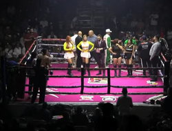 фото - Он вернулся! Лопес нокаутировал Монтойю