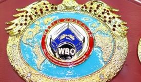 Обновился рейтинг WBO: Усик на 2-й позиции, Жанибек в суперсреднем весе 