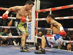 фото - Эрнан Маркес уничтожил Луиса Консепсьона в реванше