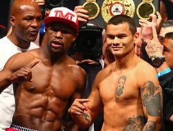 фото - Мэйуэзер vs. Майдана II: комментарии к объявленному реваншу 