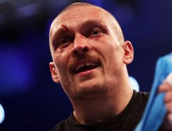 фото - Фьюри предпочёл бы подраться с Усиком — промоутер