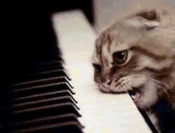 фото - Джо Паркер vs. фортепиано: видео