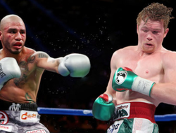 фото - Гарсиа ставит на пуэрториканского «Кота» в бою с «Гнедым» мексиканцем