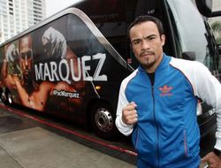 фото - Хуан Мануэль Маркес заинтересован в поединке с Джеффом Хорном