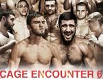 WWFC Cage Encounter 6 в Киеве: результаты всех поединков