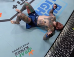 Брэди прошёл Бёрнса. Все результаты турнира UFC Fight Night 242
