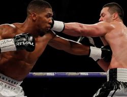 фото - Что сказали Джошуа и Паркер после боя: цитаты