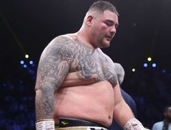 фото - Супертяжёлый бой Энди Руиса и Луиса Ортиса получил новую дату