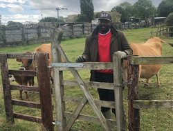 фото - Спарринг Ломаченко и Беринчика, Чисора на своей ферме, Ванзант нокаутирует мужа в танце — соцсети 