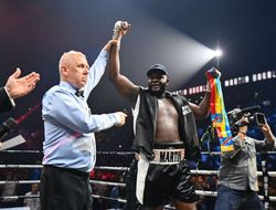 фото - Уайлдер-Баколе за временный титул WBA. Красюк считает, что Мартин побьёт всех