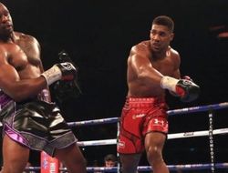 фото - Уайт: Джошуа хочет, чтобы именно я побил Уайлдера 