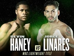 фото - Прямая трансляция Девин Хэйни – Хорхе Линарес: где и когда смотреть бой