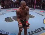 Лучшие нокауты 2024 года в UFC: видео