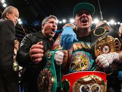 фото - Не Ломаченко. Камбосос улетел, но обещал вернуться