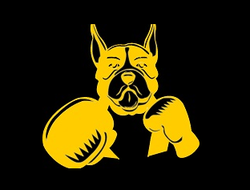 фото - Итоги 2022 года в боксе: у BoxingNews без Бивола и Шилдс