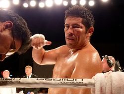 фото - Фелипе Ромеро: «Жажду победы над Александром Усиком!»