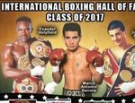 Посвящение в Зал славы бокса: Баррера, Холифилд и Тапиа в числе лауреатов