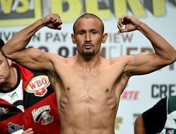 фото - Орландо Салидо готовится под началом Абеля Санчеса