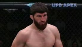 Анкалаев, брат Хабиба — названы главные бои на UFC Fight Night 282 