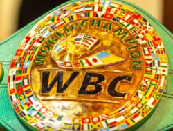 фото - Состоялись торги по бою Хэйни–Мартин: победила Top Rank, Девин в печали