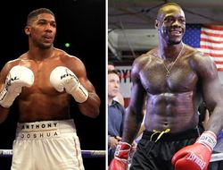 фото - Когда ожидать поединка Джошуа−Уайлдер? Отвечает промоутер Лу Дибелла