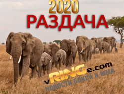 фото - vRINGe.com подводит итоги 2020 года: выбор редакции и читателей