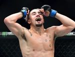 Неутомимый австралиец. Итоги UFC 213