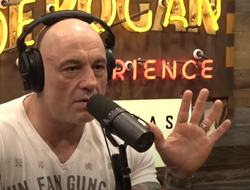 фото - Макгрегор не вернётся. Роган объяснил почему