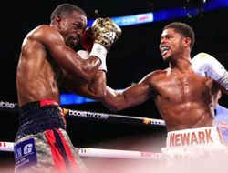 фото - Стивенсон озвучил имена желаемых оппонентов. Ломаченко уже не в списке