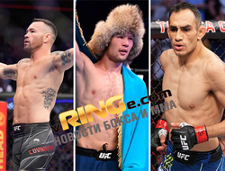 фото - Главные бои декабря 2023 в ММА: спасибо, UFC!