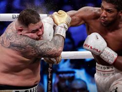 фото - «Жирная свинья». Боб Арум не лезет в карман за добрым словом для Руиса