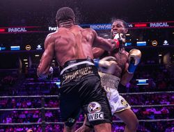 фото - Инсайдер: Жан Паскаль обязан дать реванш Маркусу Брауну