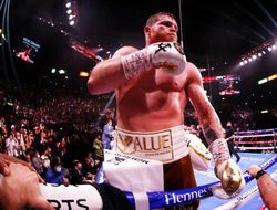 фото - Канело отреагировал на присвоение ему звания «боец года» по версии The Ring