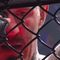 Первый блин. Обзор UFC 321 Первый блин. Обзор UFC 321