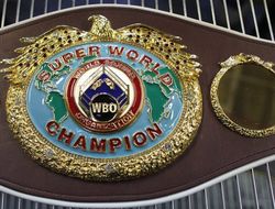 фото - WBO: Брэдли и Варгас определят временного чемпиона мира