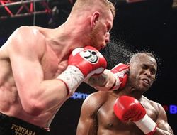 фото - Стивенсон и Фонфара: грядёт реванш?